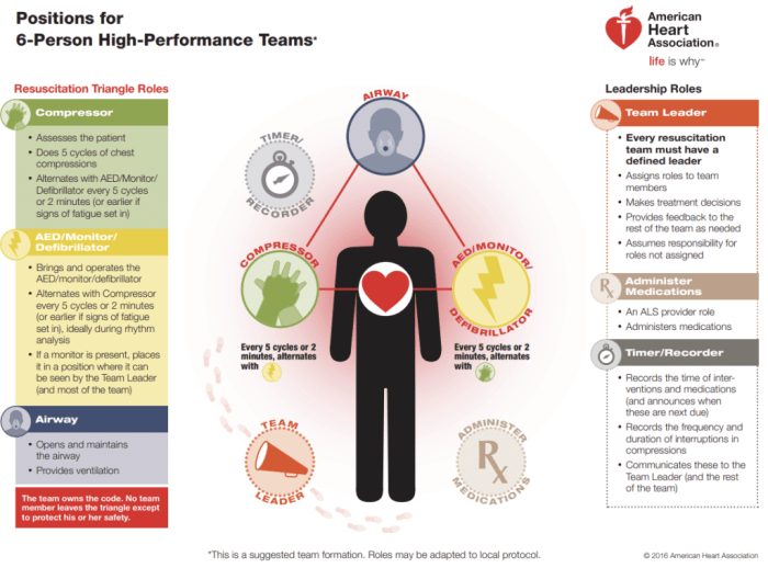 Triangle roles in high performance team