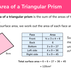 Surface area of triangular prism worksheet