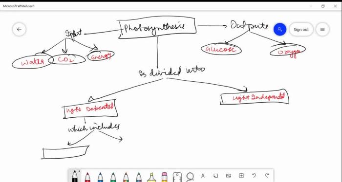 Photosynthesis stem case gizmo answers