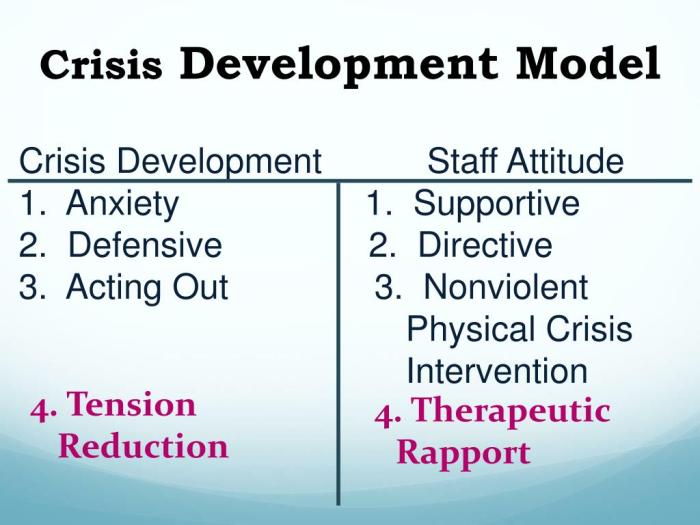 Cpi crisis development model answers