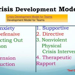 Crisis model development