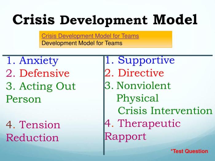 Crisis model development