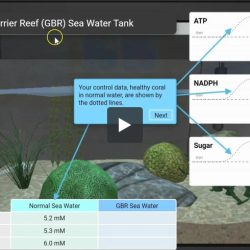 Photosynthesis stem case gizmo answers