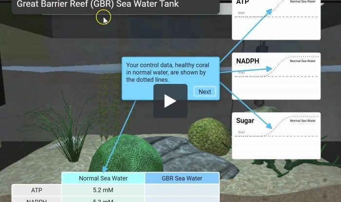 Photosynthesis stem case gizmo answers