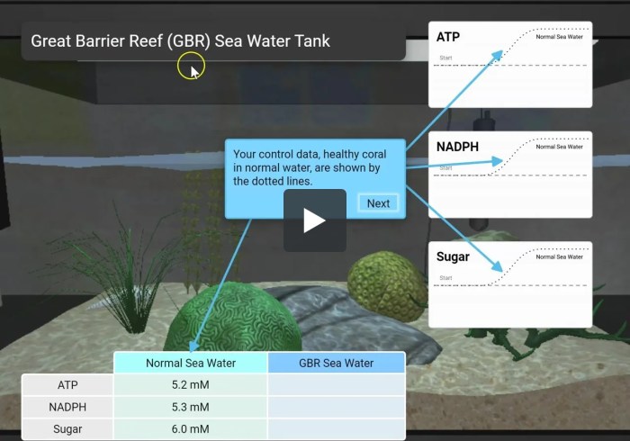 Photosynthesis stem case gizmo answers