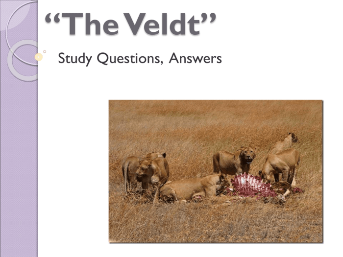 The veldt commonlit assessment questions answers