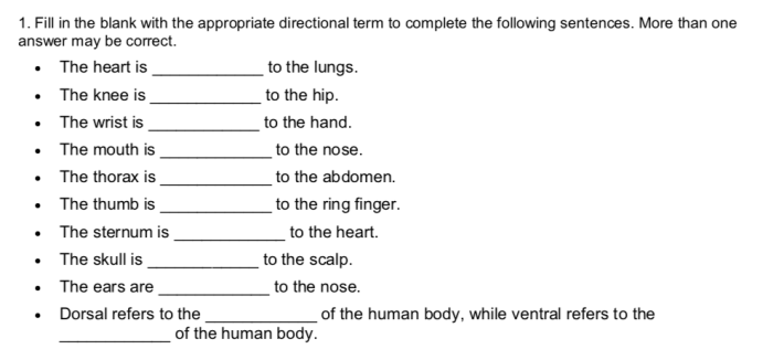 Fill-in the sentences with the appropriate directional term